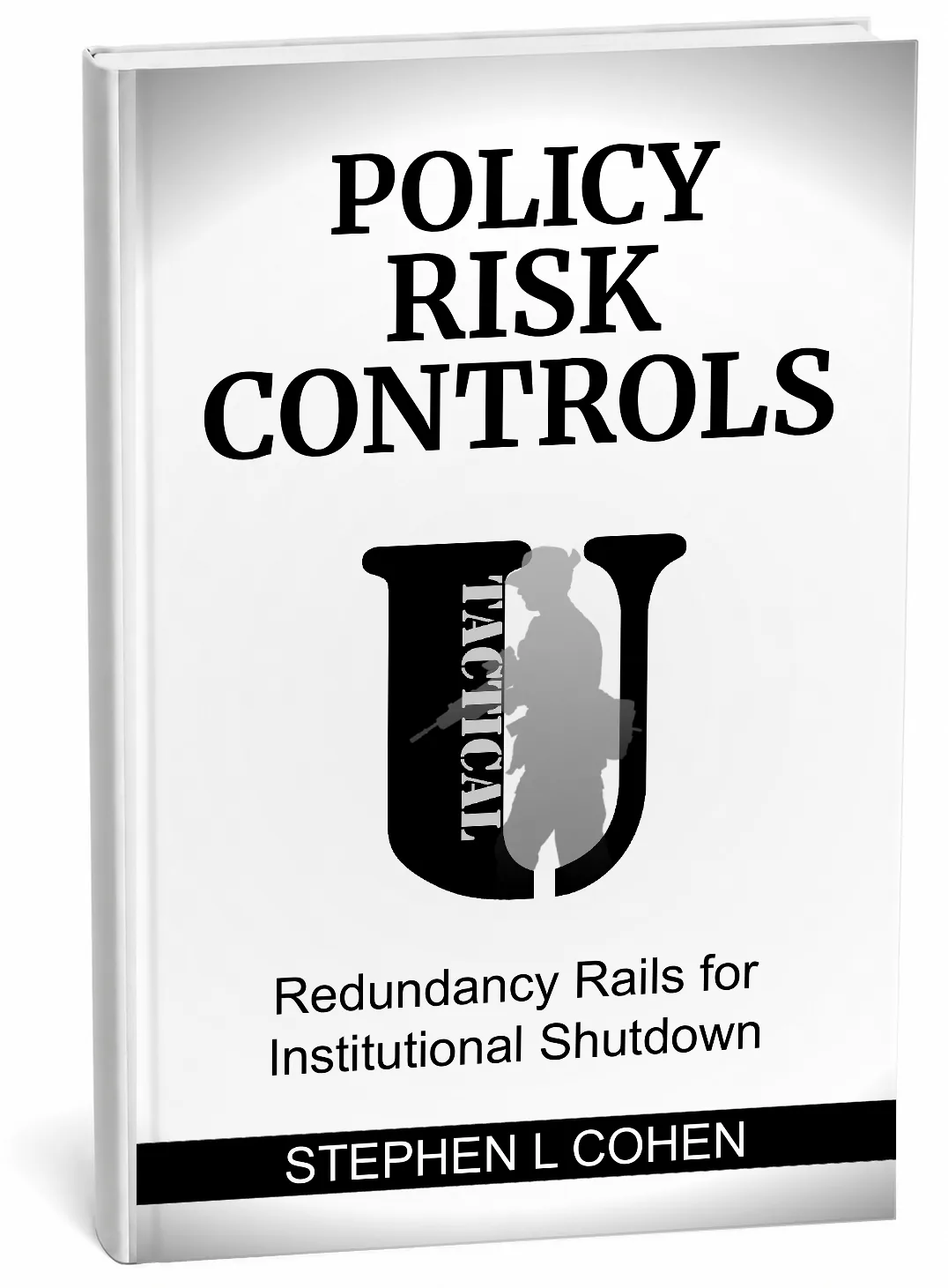 Policy Risk Controls book cover by Stephen L Cohen